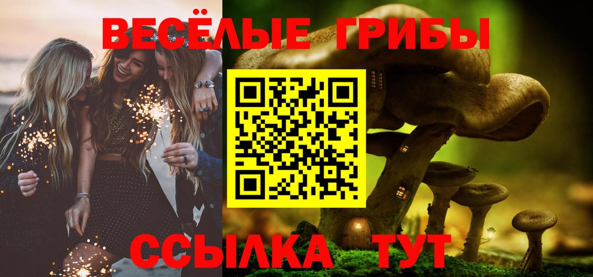 Галлюциногенные грибы прущие грибы Лабытнанги