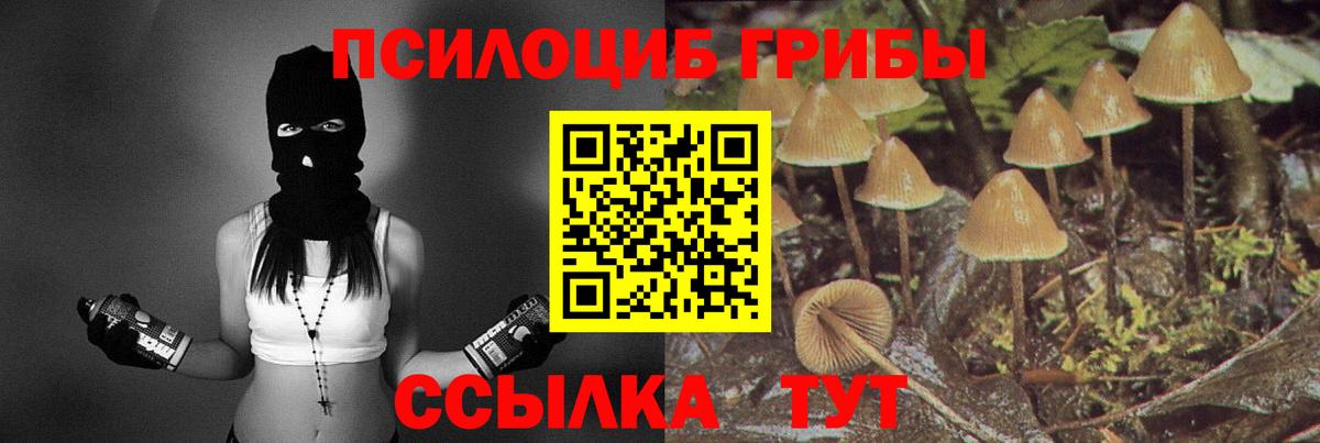Псилоцибиновые грибы мухоморы  Вход с VPN  цена наркотик  Лабытнанги 